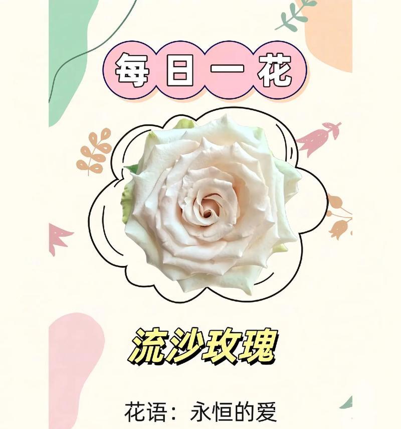 如何选择优质的玫瑰花瓣？