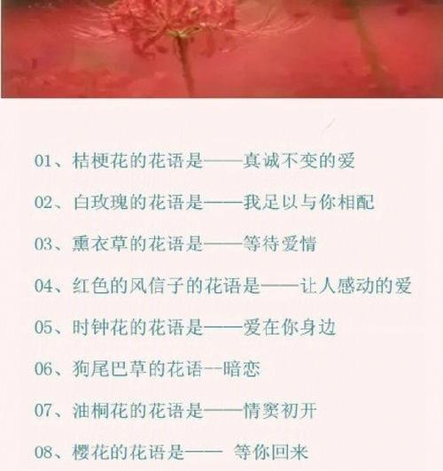 新春花语有哪些新的含义？