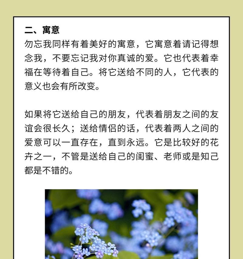 白勿忘我花语有何寓意？适合送什么人？