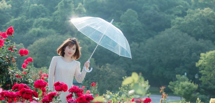 青色月季的花语是什么意思？它象征着什么？