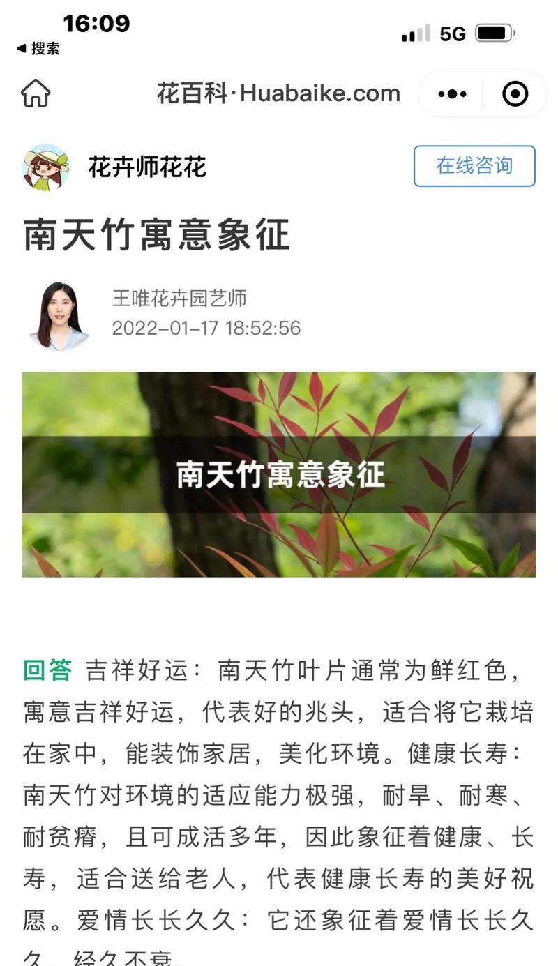 南天竹的种植方法是什么？如何保持其健康生长？