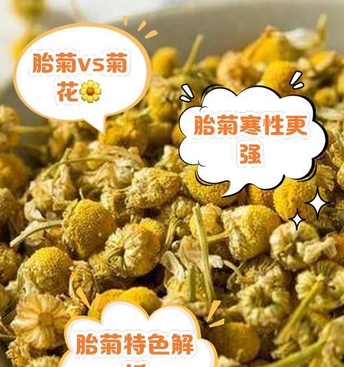 菊花的独特特点有哪些？菊花的品种和特性是什么？