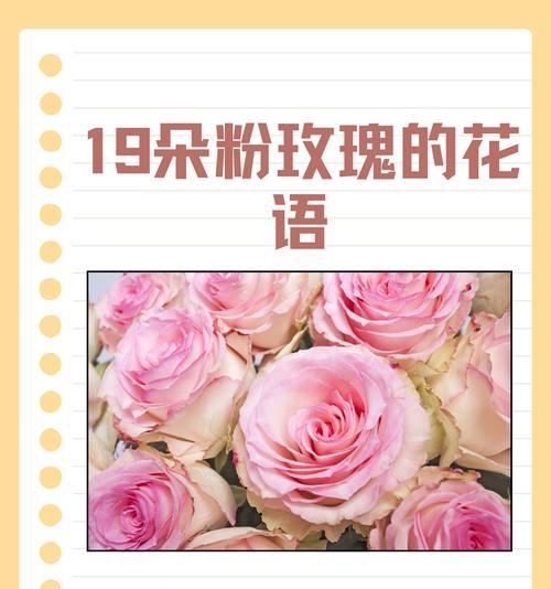 19朵有钱花的花语代表了什么？