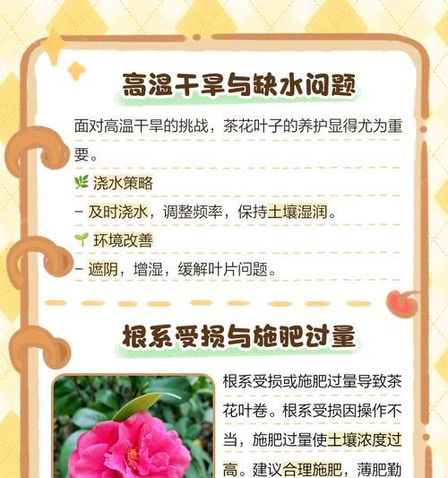 茶花掉叶的原因是什么？如何预防和解决这一问题？