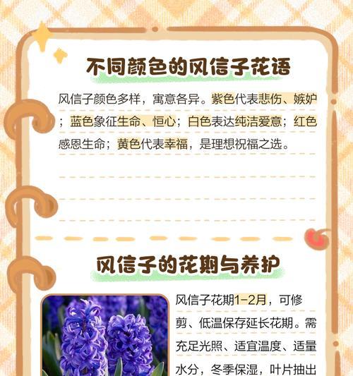 永远服从的花语是什么？这种花语传达了怎样的情感？