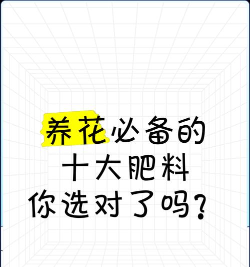 家养花卉施肥的最佳选择是什么？如何正确使用肥料？