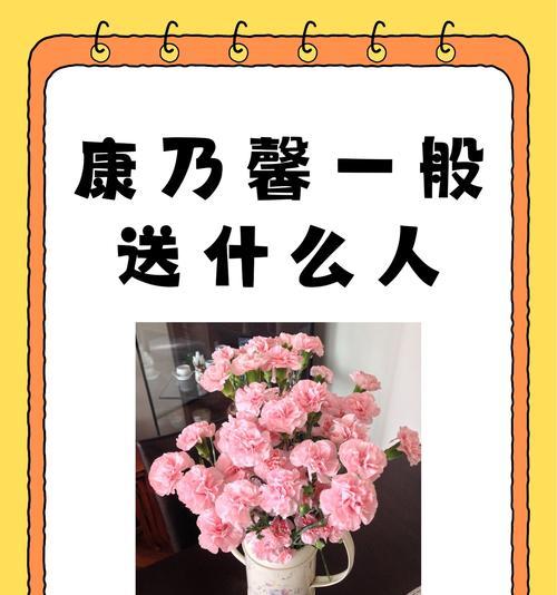 康乃馨的寓意是什么？适合送给哪些人？