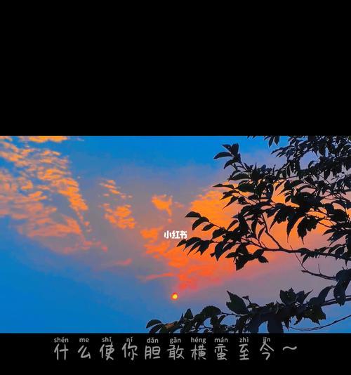惹人怜爱的小玫瑰花语是什么？浪漫晚霞的花语是什么？