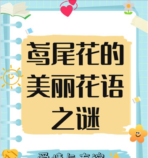 哪些花的花语代表了各种含义？它们各自代表什么？