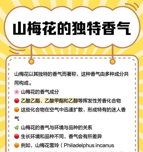 梅花养殖需要注意什么？如何确保其健康生长？
