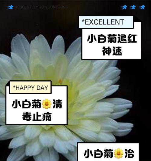 小白花语录括号内的含义是什么？
