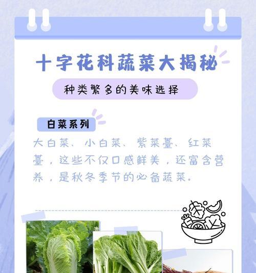 蔬菜作为礼物的花语含义是什么？