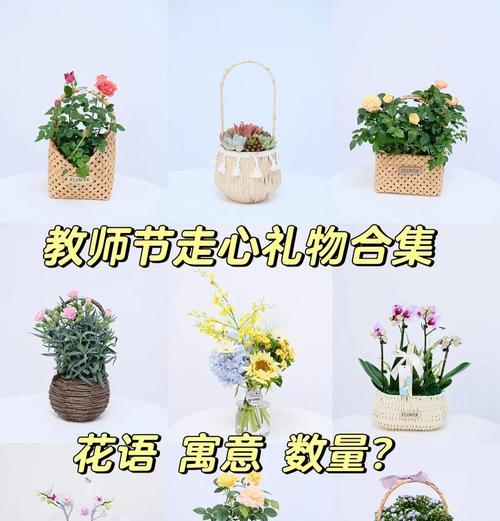蔬菜作为礼物的花语含义是什么？