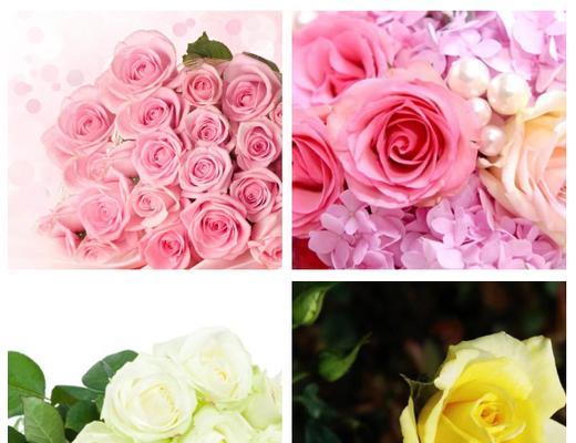 玫瑰代替红花的花语是什么？在花语中玫瑰与红花有何不同？