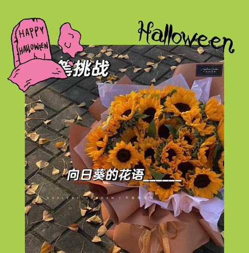 永远钟爱向日葵的花语是什么？向日葵代表了什么？