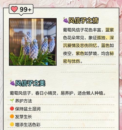 这些花语背后隐藏着什么秘密？