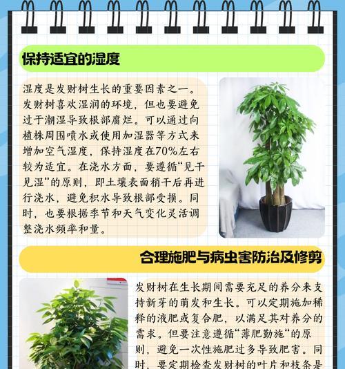 发财树重剪后不发芽的原因是什么？如何促进新芽生长？