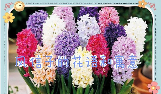 哪种花语代表着高兴的情绪？