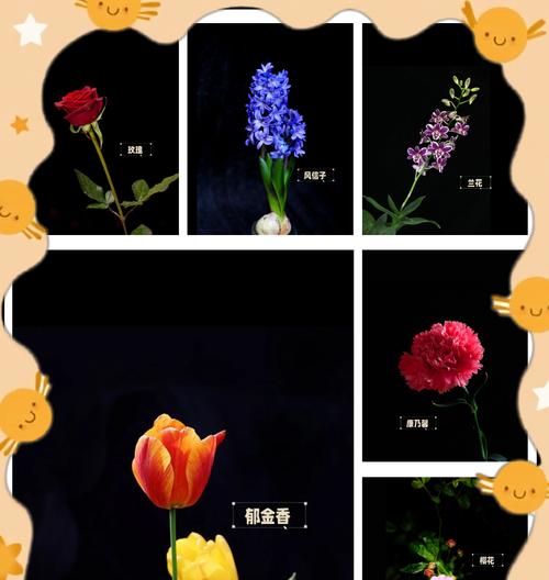 哪种花语代表着高兴的情绪？