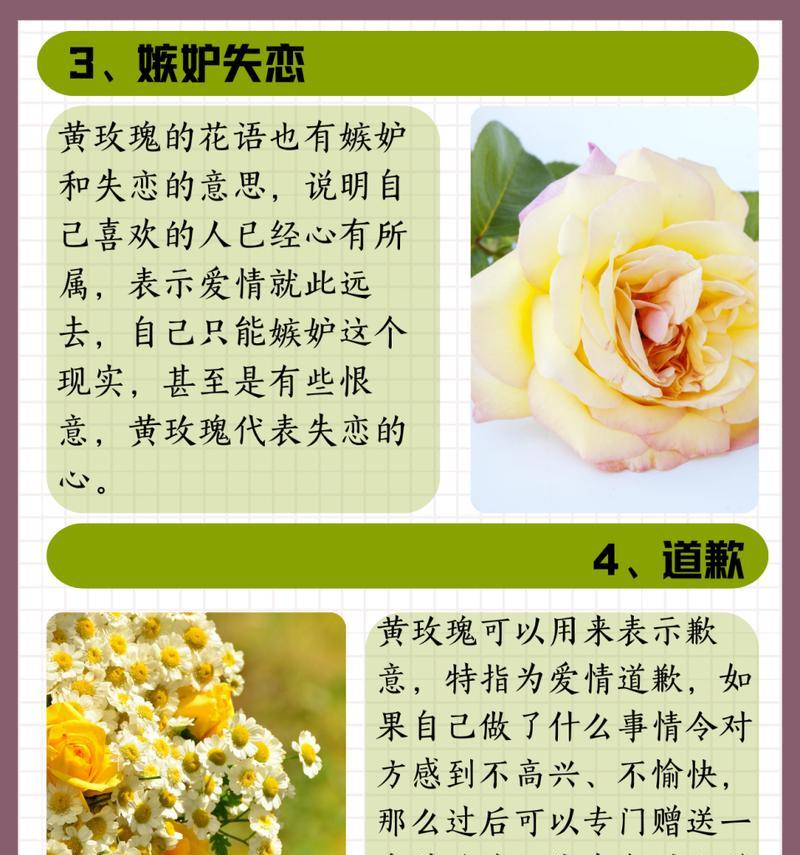 幽梦玫瑰代表了什么？花语有何深意？