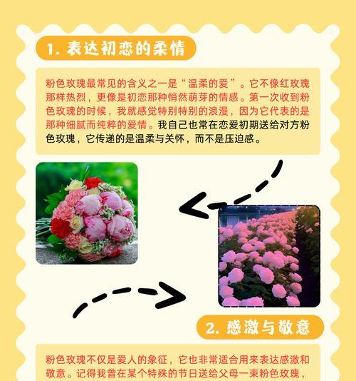 玫瑰花波浪纱18朵代表什么？18朵玫瑰花语有何深意？