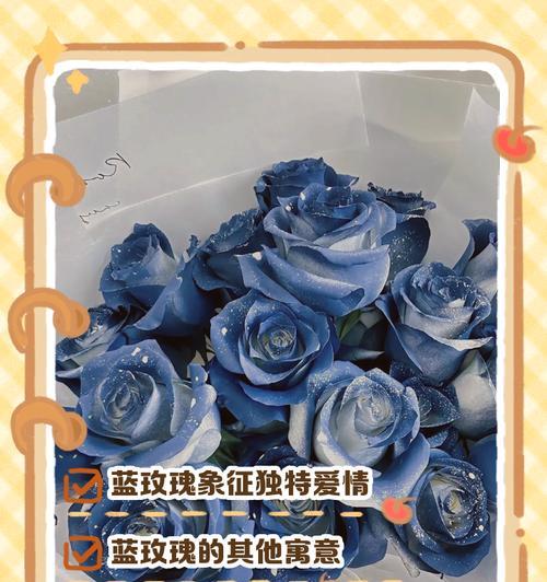 蓝玫瑰不谢象征着什么？