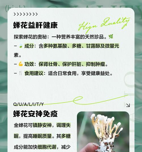 火炬花的养殖要点是什么？如何应对常见病虫害？