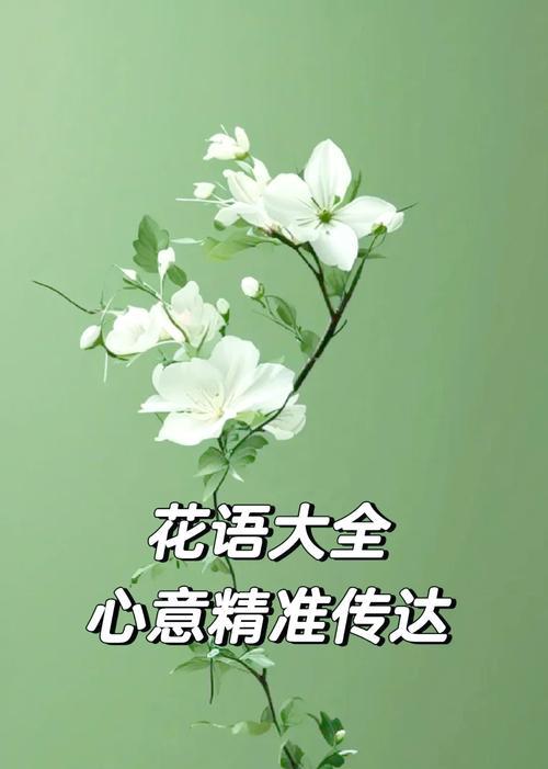 购买鲜花时花语传达了什么信息？
