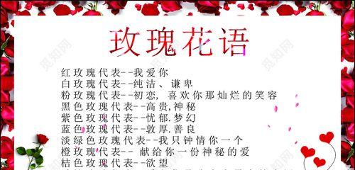 购买鲜花时花语传达了什么信息？