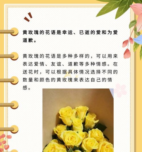 玫瑰花的花语和寓意是什么？