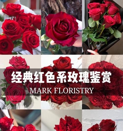 木偶花语有何特殊含义？