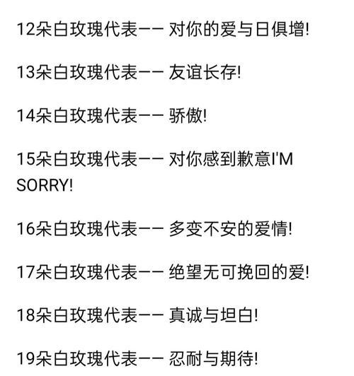 七朵白玫瑰代表什么？花语有何含义？