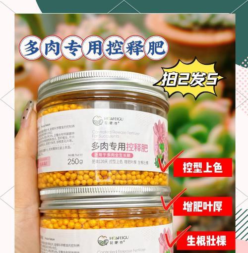 盆景施肥的正确方法和肥料选择是什么？