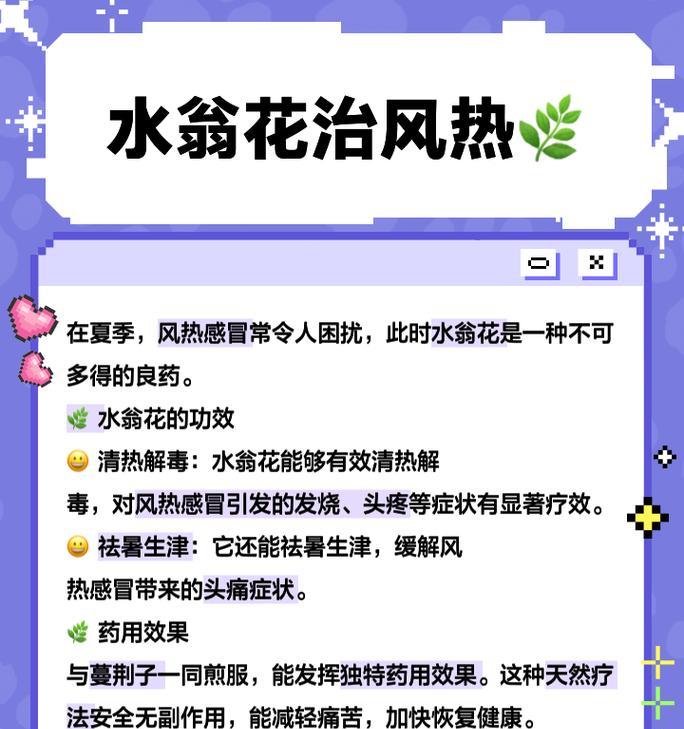 花卉的作用和常见问题有哪些？