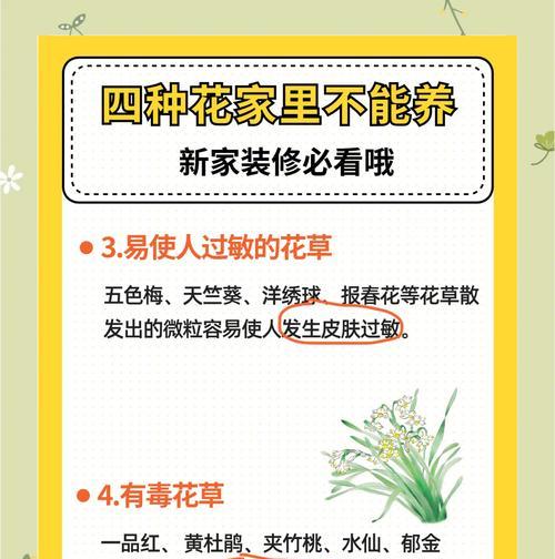 花卉的作用和常见问题有哪些？