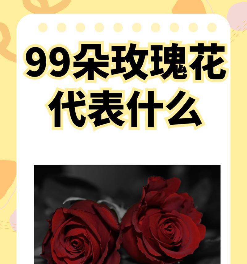 19朵酱色玫瑰花语是什么？这个数量的玫瑰传递了什么信息？