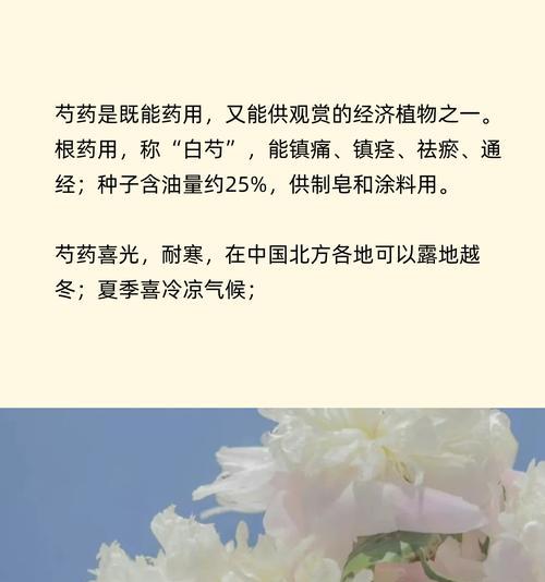 芍药的花语寓意是什么？芍药象征着什么？