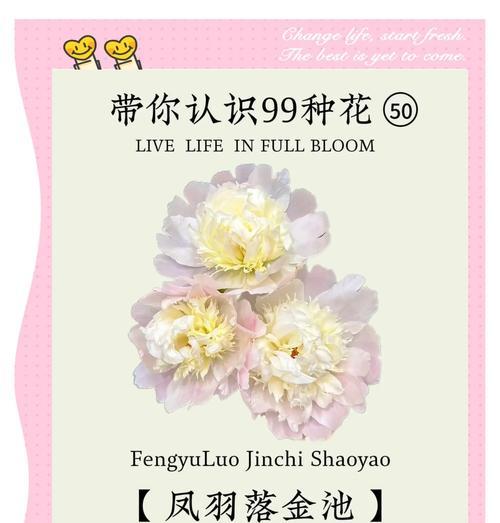 芍药的花语寓意是什么？芍药象征着什么？