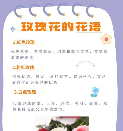 石榴玫瑰的花语有哪些美丽寓意？