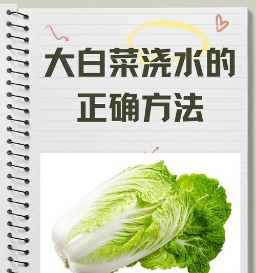 百合浇水的正确方法是什么？如何避免浇水过多或过少？