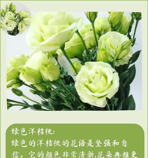 洋桔梗的花语有哪些含义？