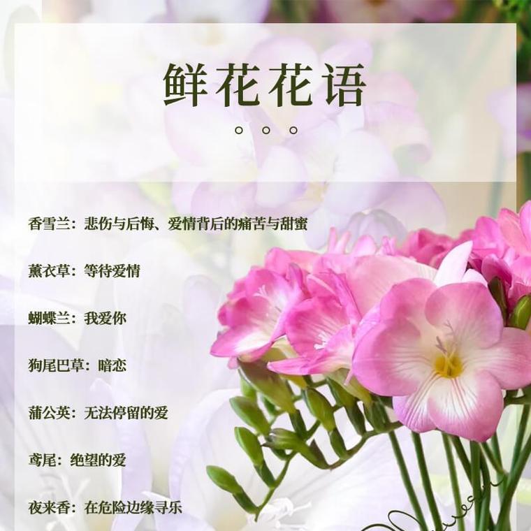 洋桔梗的花语有哪些含义？