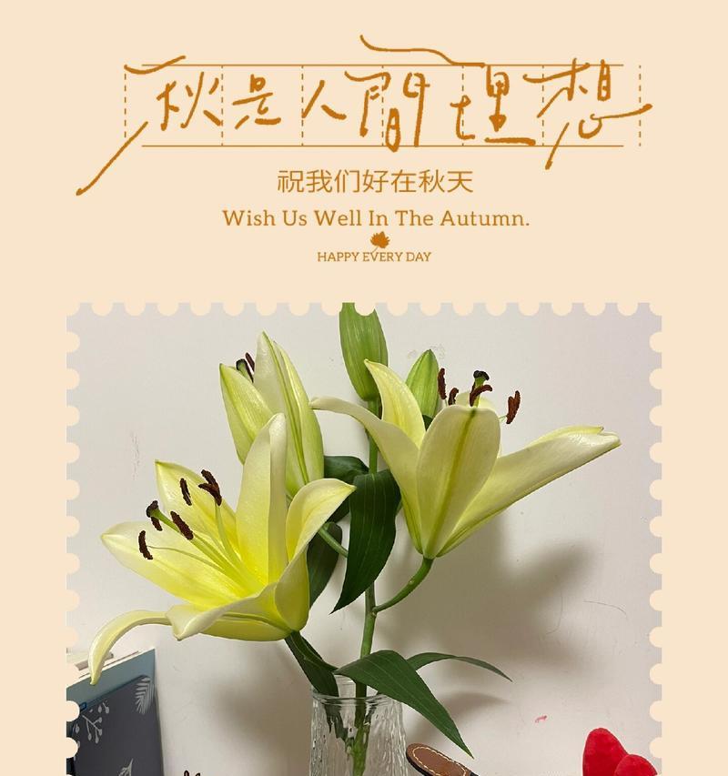 平安富贵的花语代表了什么含义？