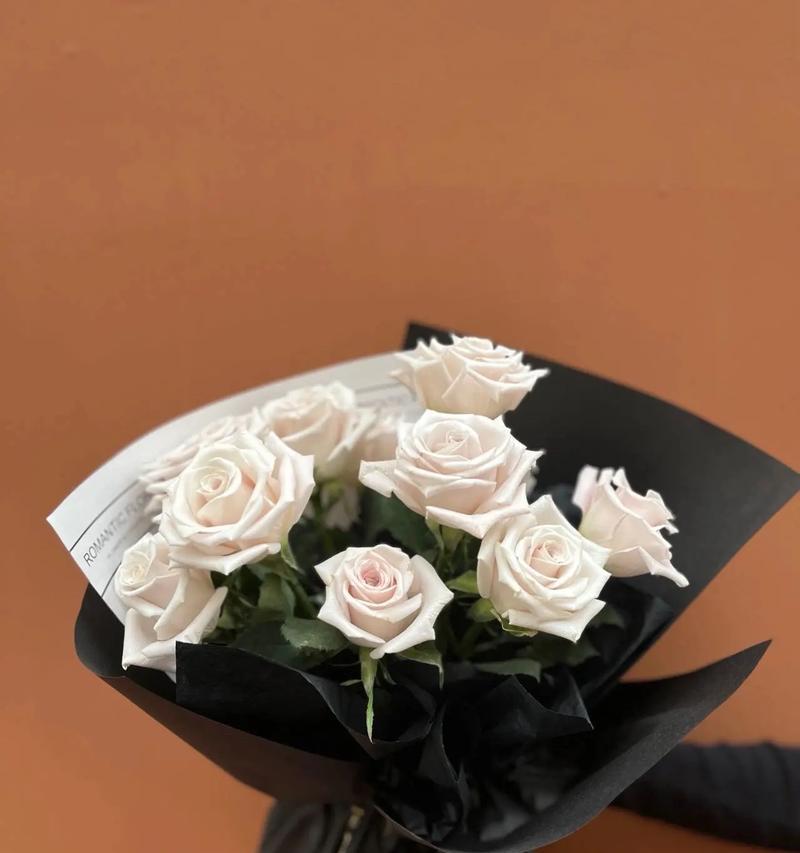 曼塔花语代表什么含义？
