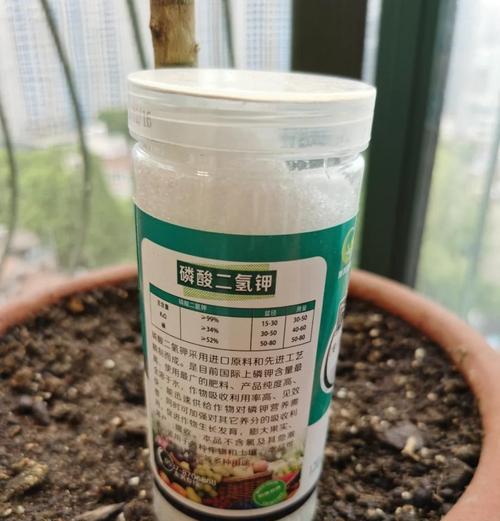 自制花肥料的方法有哪些？自制肥料对植物生长有何益处？