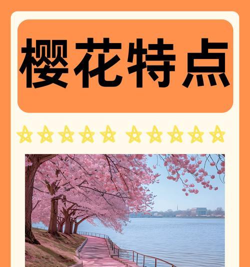 粉樱花的花语有哪些含义？