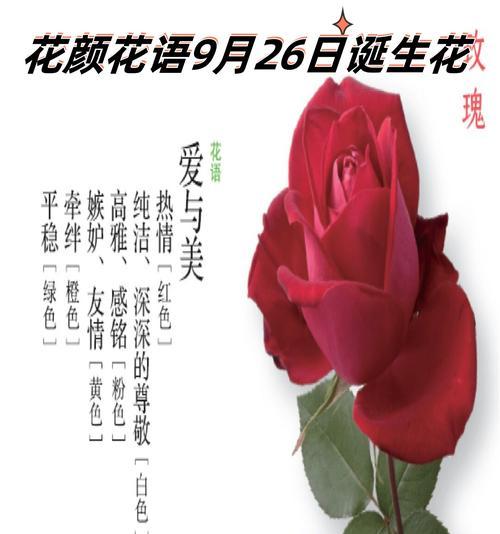 花语芬芳的香味有何特点？如何通过香味了解花语？