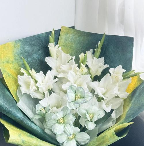 祝福对象的花语是什么意思？花语的含义有哪些？