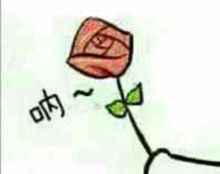 表情包中玫瑰花代表什么？