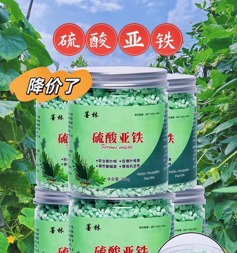 米兰植物需要哪种肥料？施肥时应注意什么？